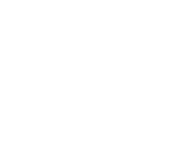 Fellow American College of Surgeons Logo