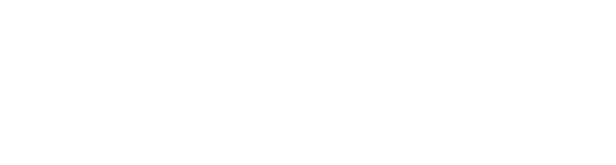 Said Plastic Surgery Logo